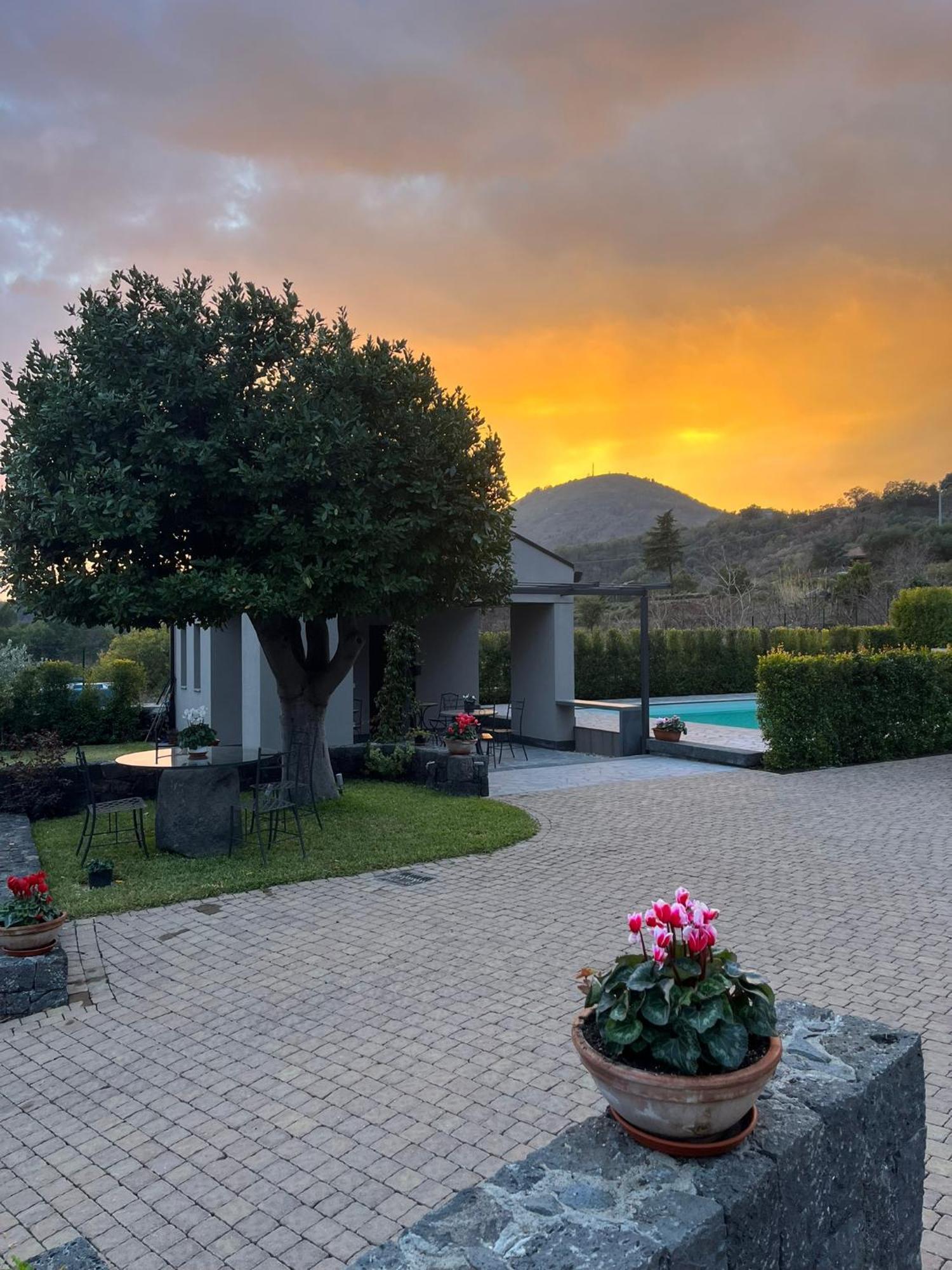 La Casa Dell'Alloro Zafferana Etnea Eksteriør billede